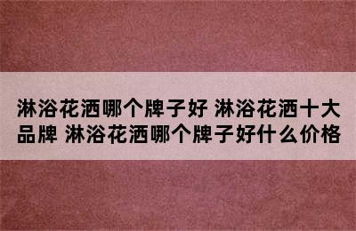 淋浴花洒哪个牌子好 淋浴花洒十大品牌 淋浴花洒哪个牌子好什么价格